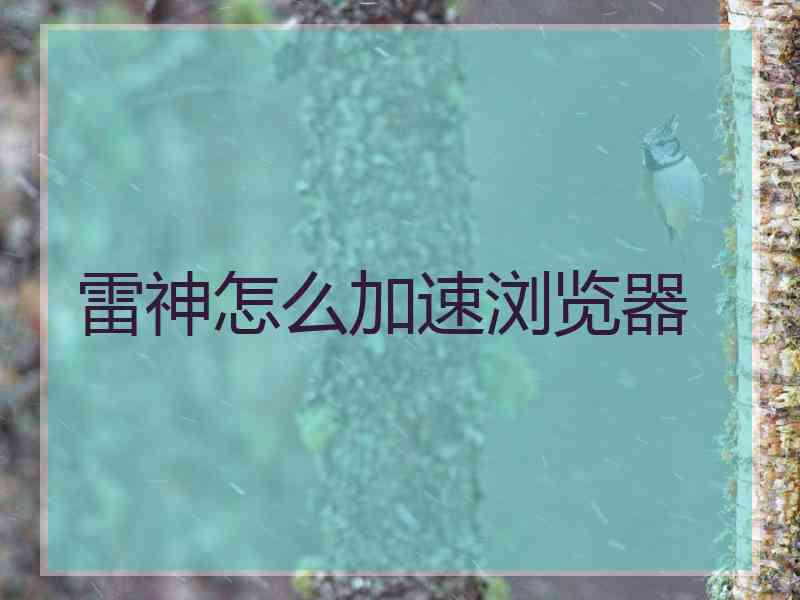 雷神怎么加速浏览器