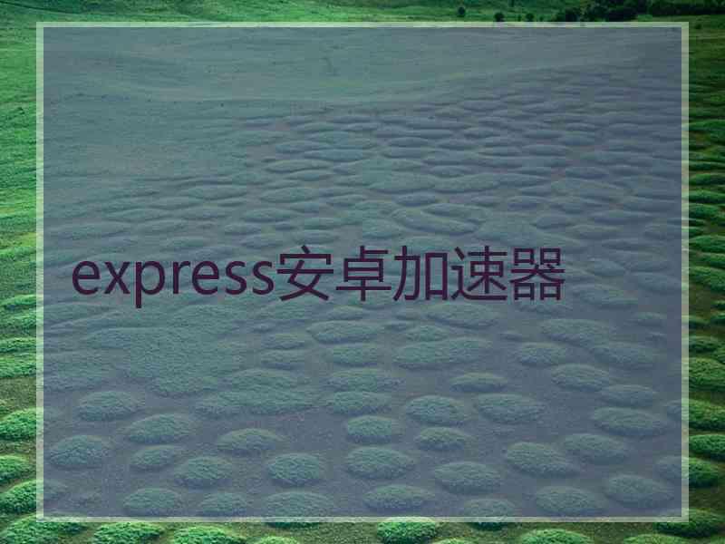 express安卓加速器