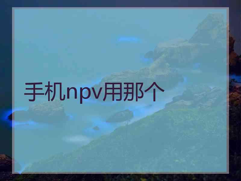 手机npv用那个