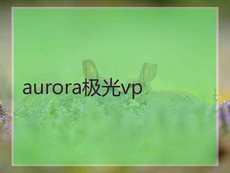 aurora极光vp