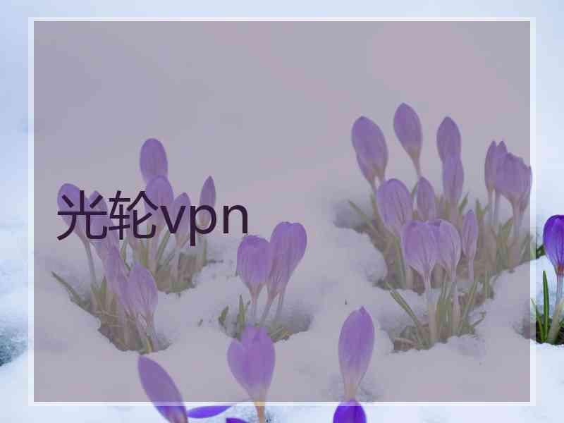 光轮vpn