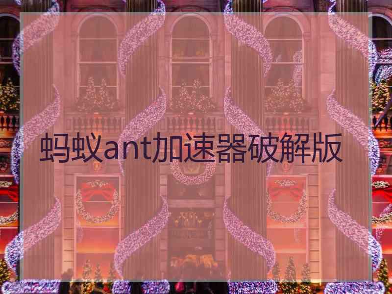 蚂蚁ant加速器破解版