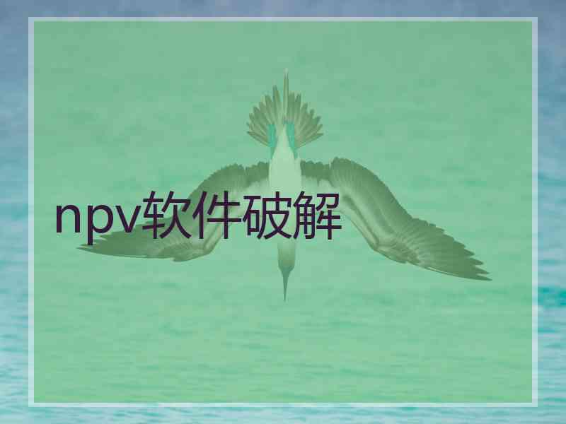 npv软件破解