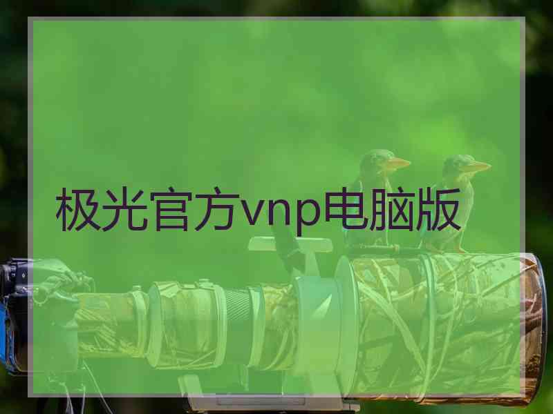 极光官方vnp电脑版