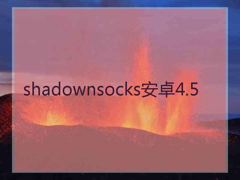 shadownsocks安卓4.5