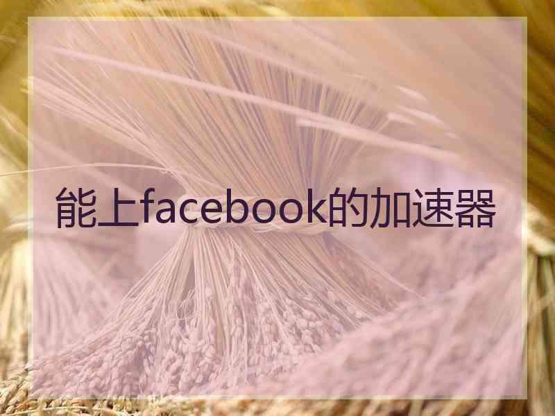 能上facebook的加速器