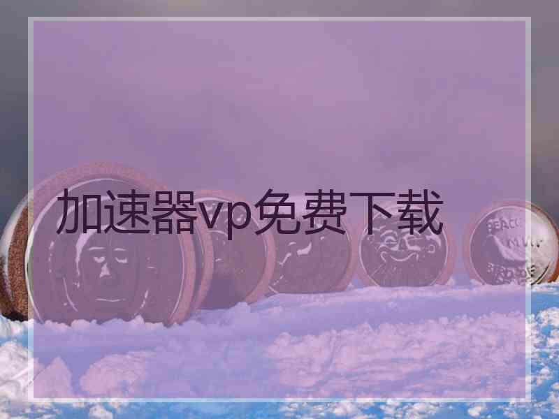 加速器vp免费下载