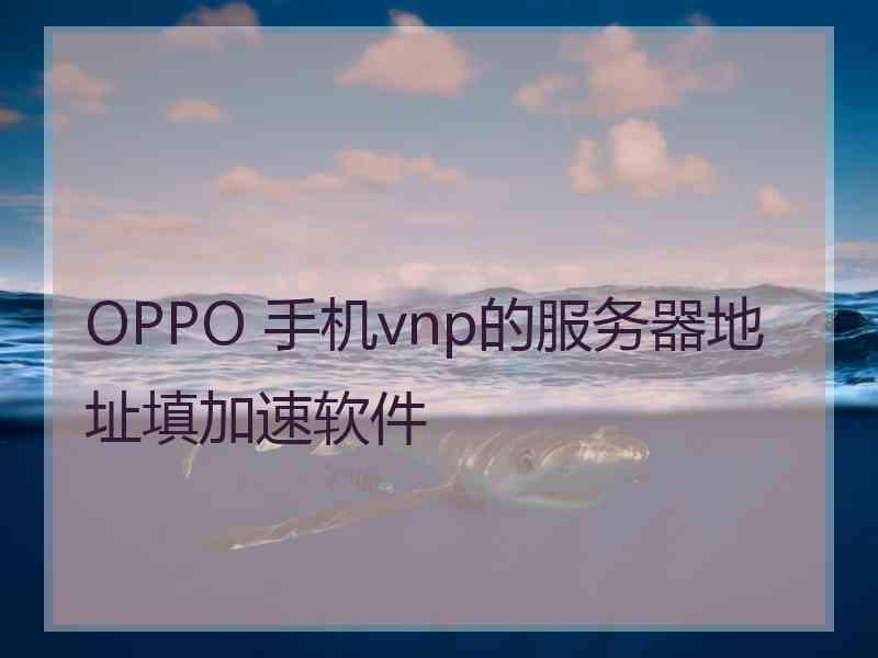 OPPO 手机vnp的服务器地址填加速软件