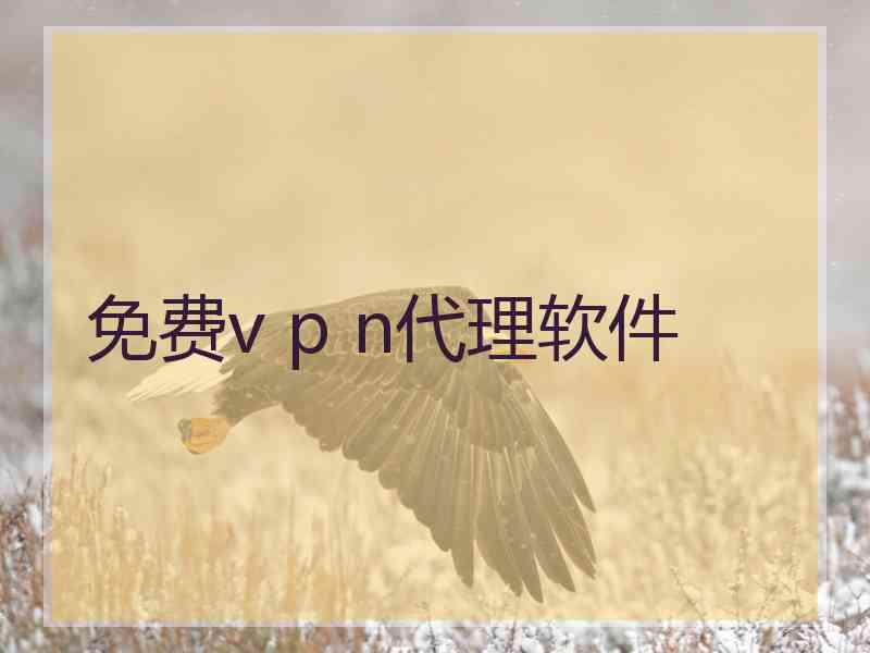 免费v p n代理软件