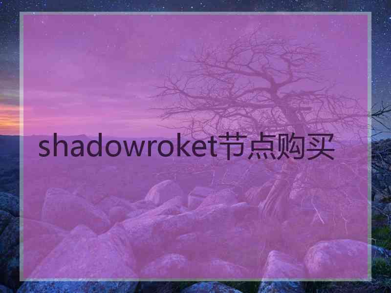 shadowroket节点购买