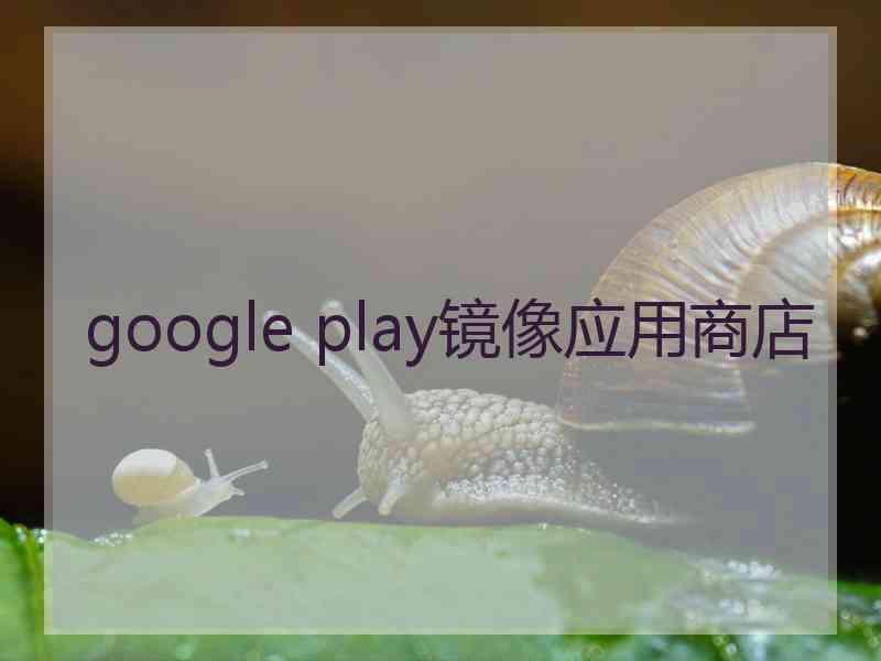 google play镜像应用商店