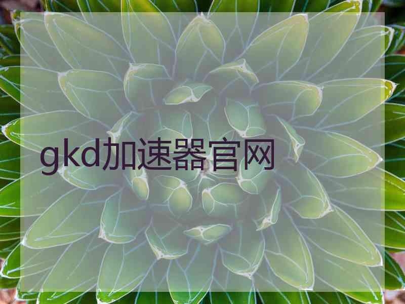 gkd加速器官网