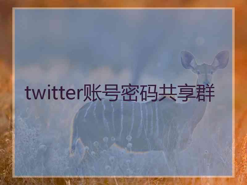 twitter账号密码共享群