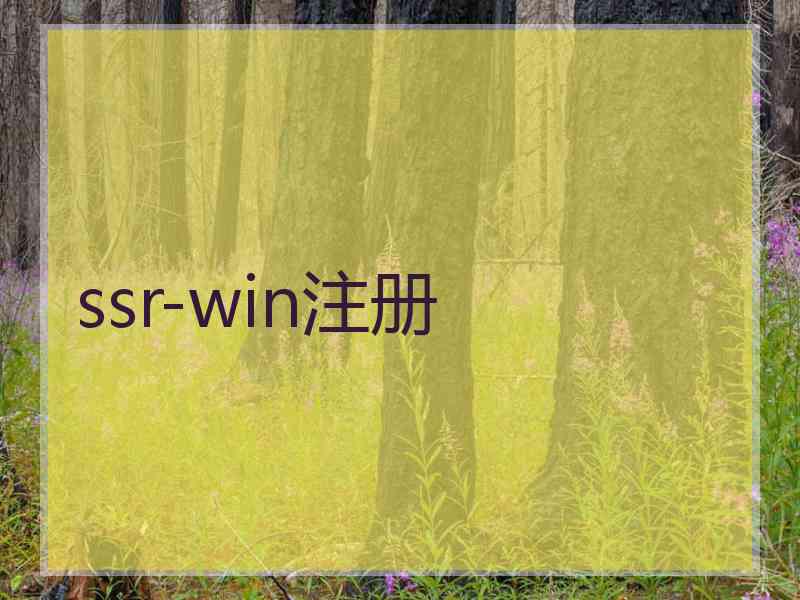 ssr-win注册