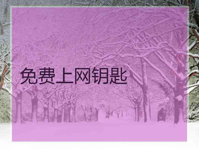 免费上网钥匙