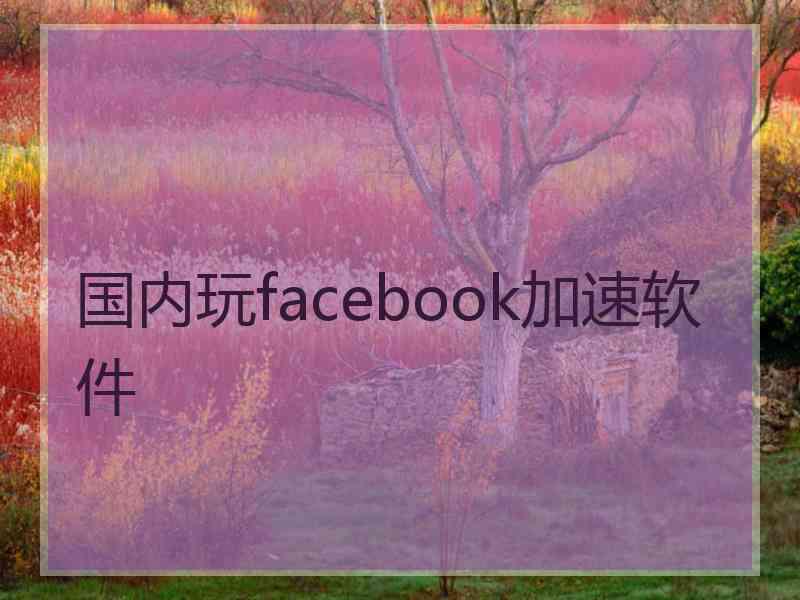 国内玩facebook加速软件