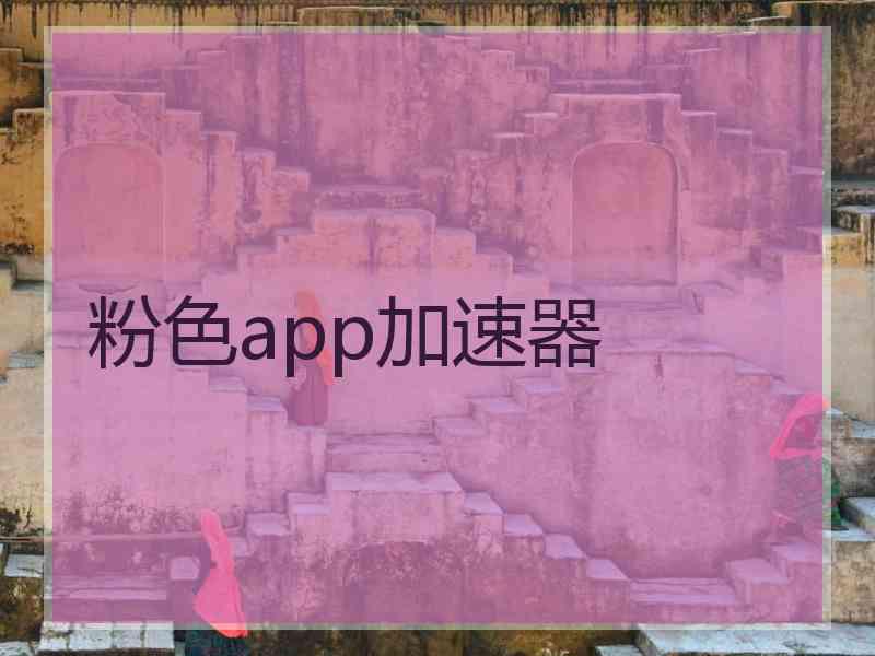 粉色app加速器