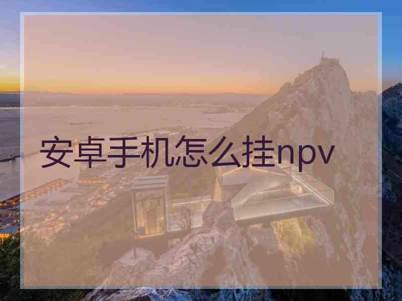 安卓手机怎么挂npv