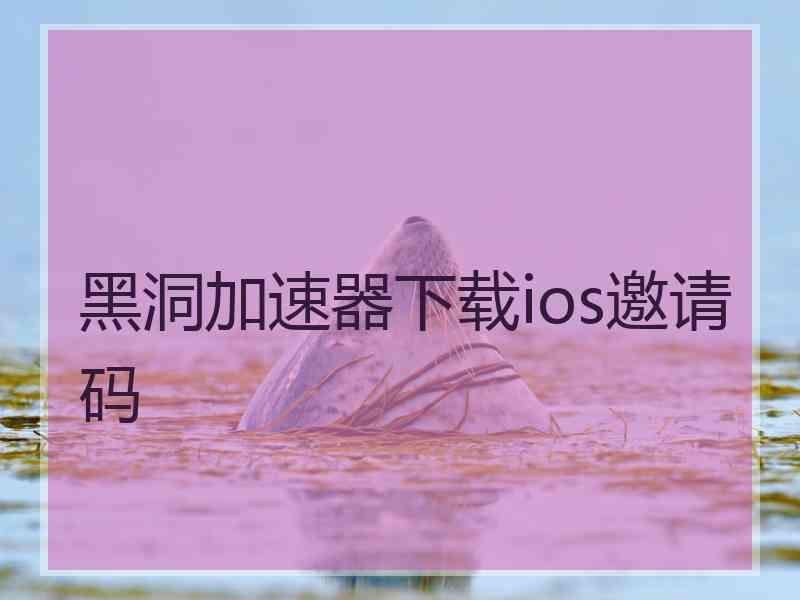 黑洞加速器下载ios邀请码