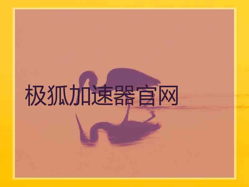 极狐加速器官网