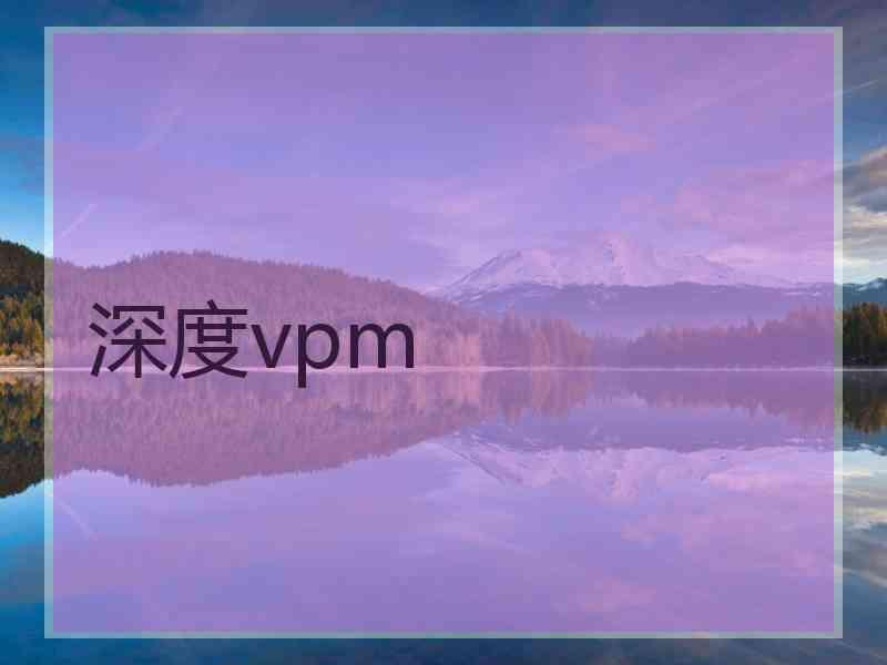 深度vpm