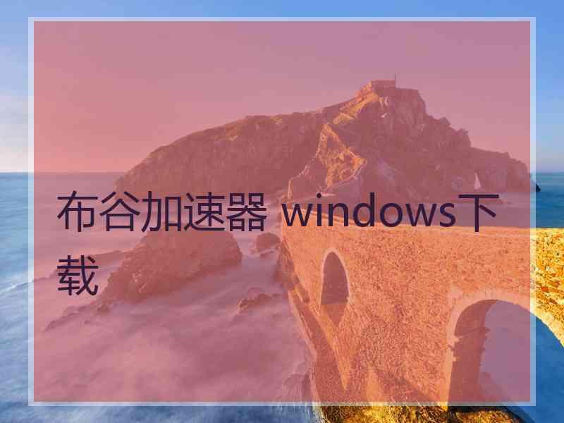 布谷加速器 windows下载