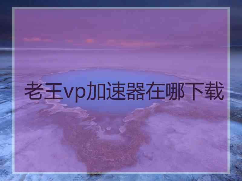 老王vp加速器在哪下载