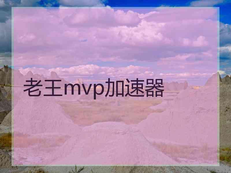 老王mvp加速器