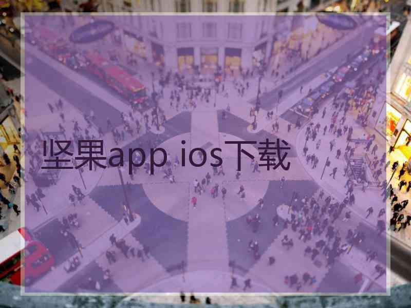 坚果app ios下载