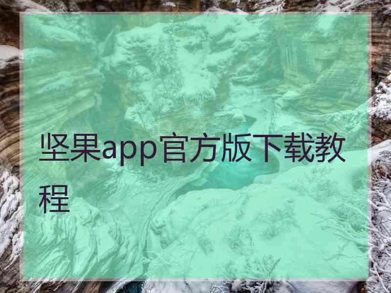 坚果app官方版下载教程