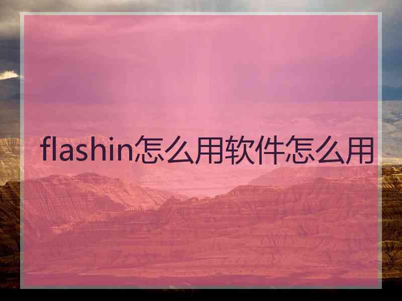 flashin怎么用软件怎么用