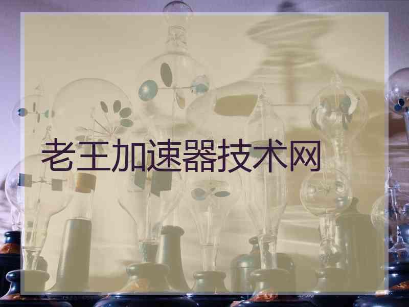 老王加速器技术网