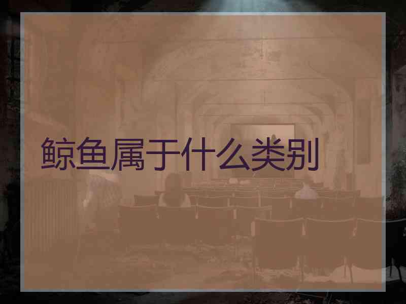 鲸鱼属于什么类别
