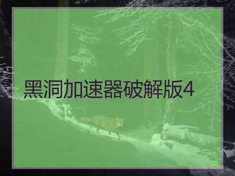 黑洞加速器破解版4