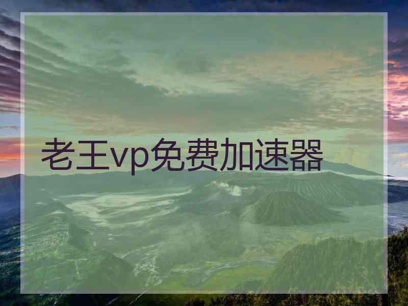老王vp免费加速器