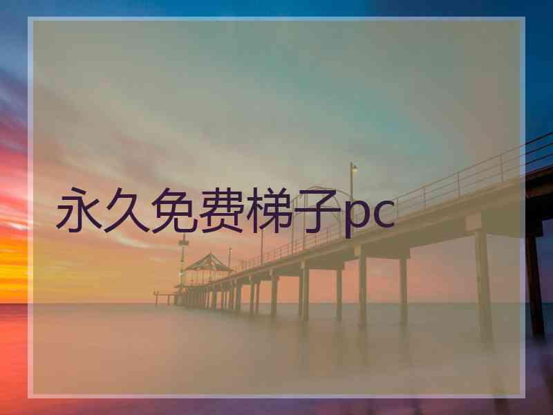 永久免费梯子pc