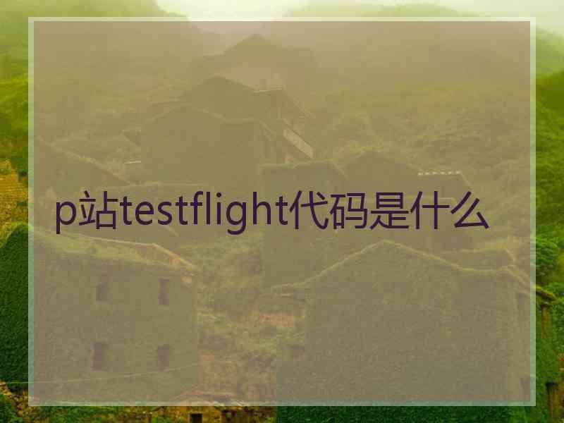 p站testflight代码是什么