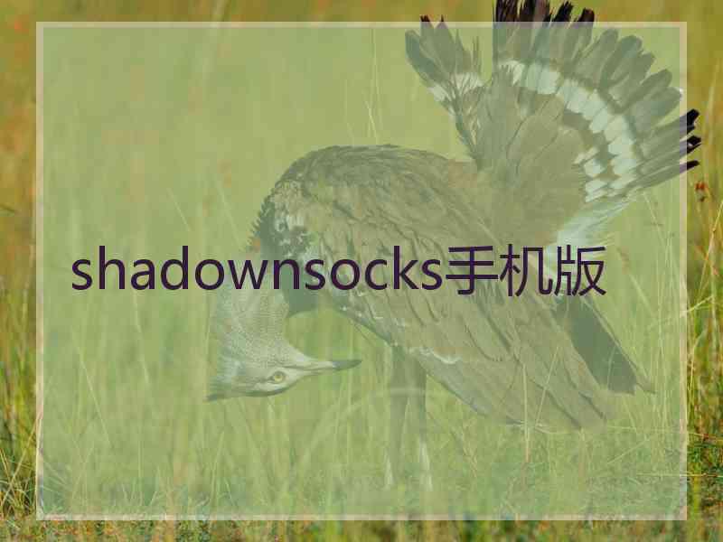 shadownsocks手机版