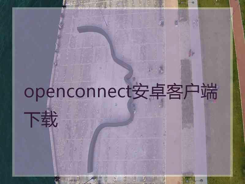 openconnect安卓客户端下载