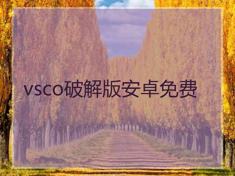 vsco破解版安卓免费