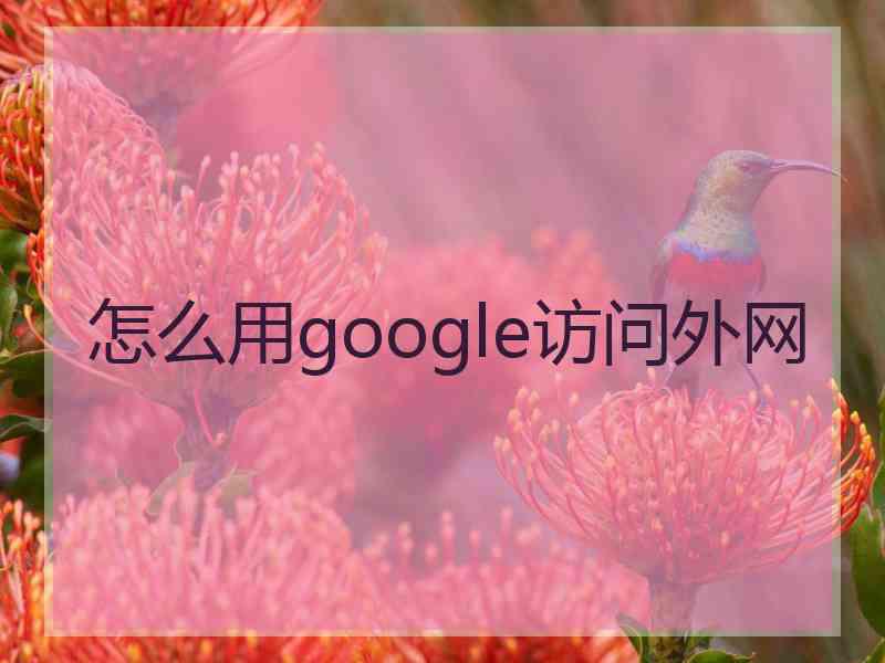 怎么用google访问外网