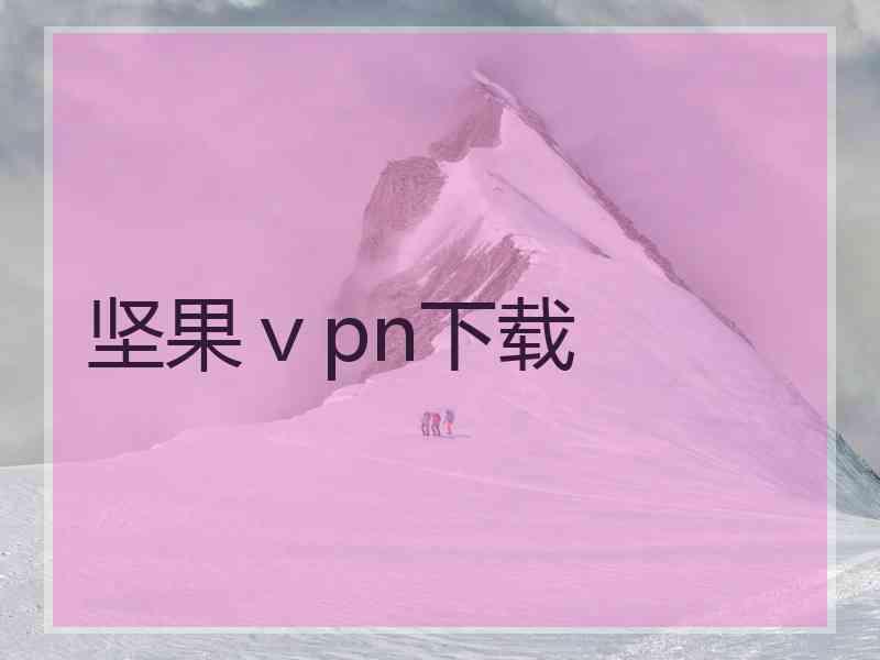 坚果ⅴpn下载