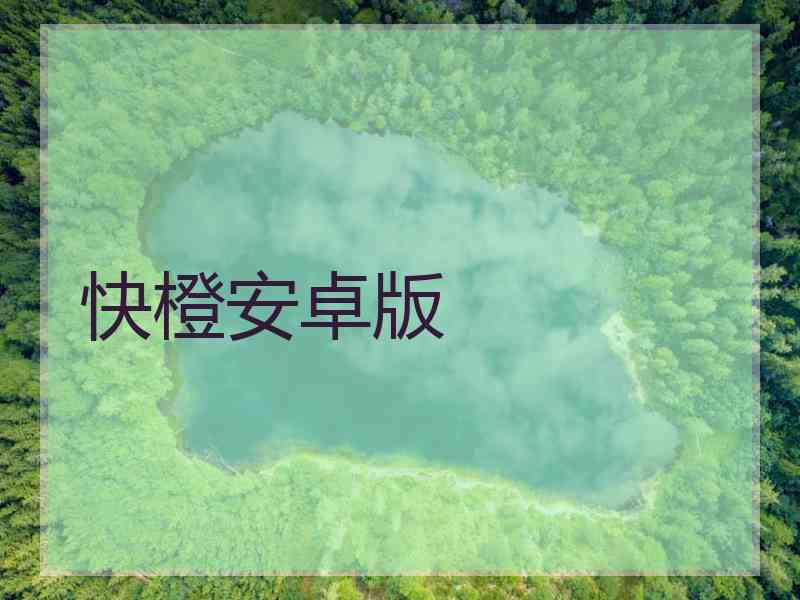 快橙安卓版