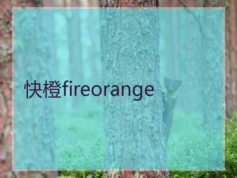 快橙fireorange