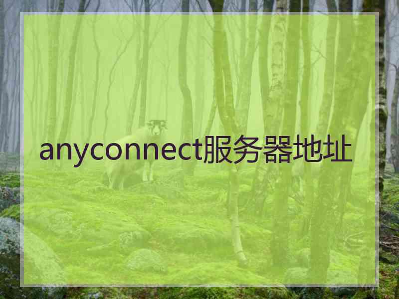 anyconnect服务器地址