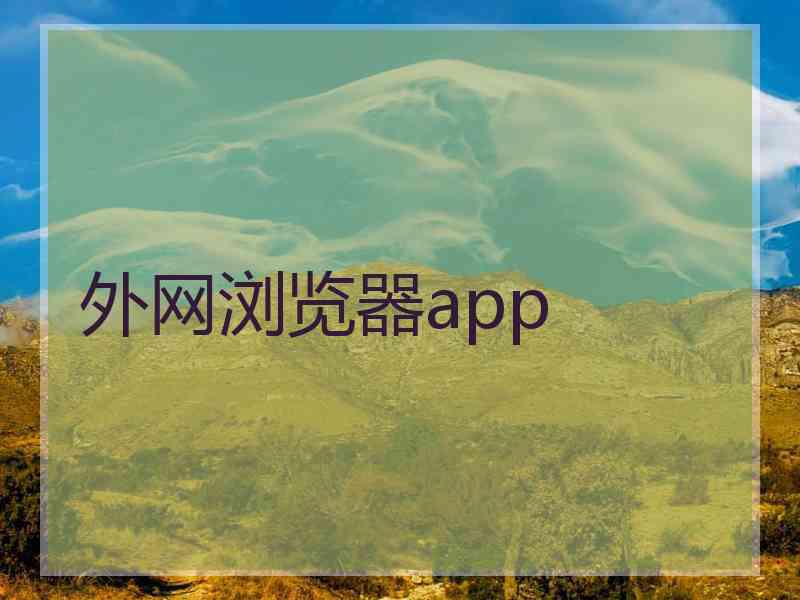 外网浏览器app