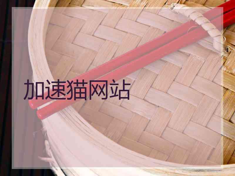 加速猫网站