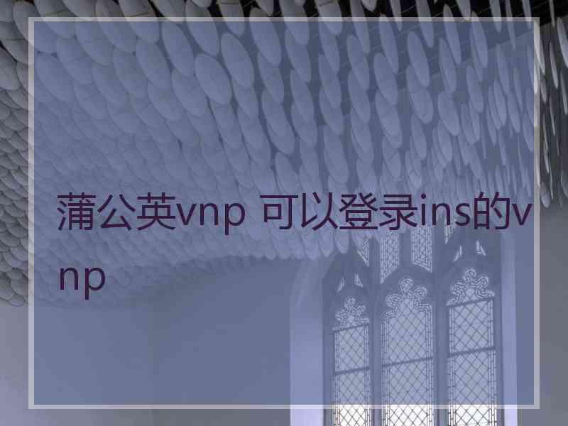 蒲公英vnp 可以登录ins的vnp