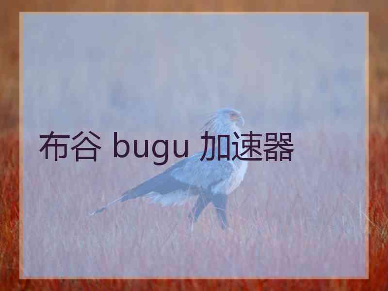 布谷 bugu 加速器