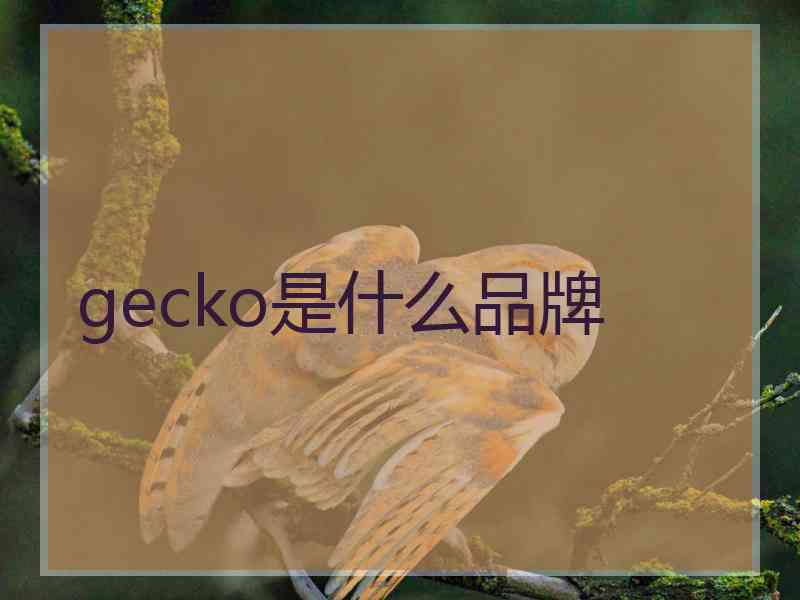 gecko是什么品牌